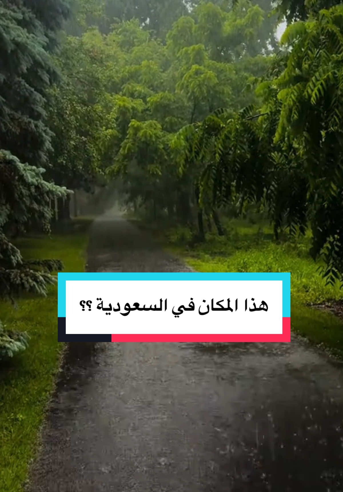 يا ناقد الناس #رسالة_اليوم #السودة_الأن #ابها #المملكة_العربية_السعودية #ترندات #اكسبلورexplore #سعد_الحارثي23 