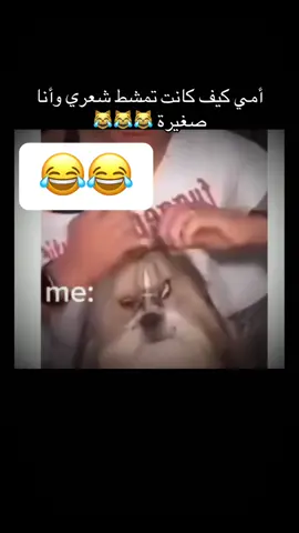 #الشعب_الصيني_ماله_حل😂😂 #😂😂😂😂😂   