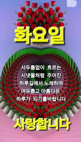 화요일은 환하게웃는날 ~~더운날씨땜에 짜증도나겠지만환하게웃으면서 오늘하루  시작해볼까요~~