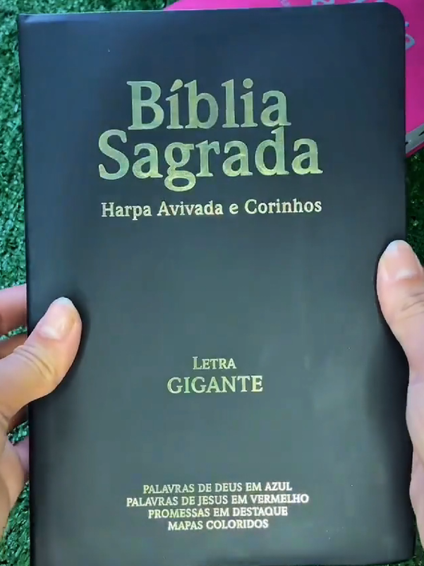 Esta Bíblia Interativa e Colorida vai ajudar a você entender melhor a Palavra #bibliasagrada #bibliacolorida #bibliadeestudo #bibliatraduzida #estudobiblicos