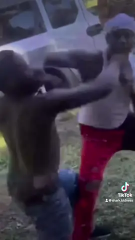 #fyp #contentcreator #knockout #viralvideo #lmfao 