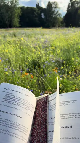 therapy  #flowers #quran #book #ok #islam #cool #fyp 