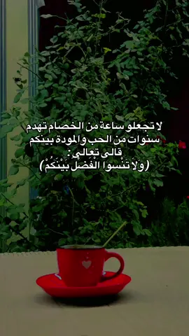 #اقتباسات📝 #مالي_خلق_احط_هاشتاقات 