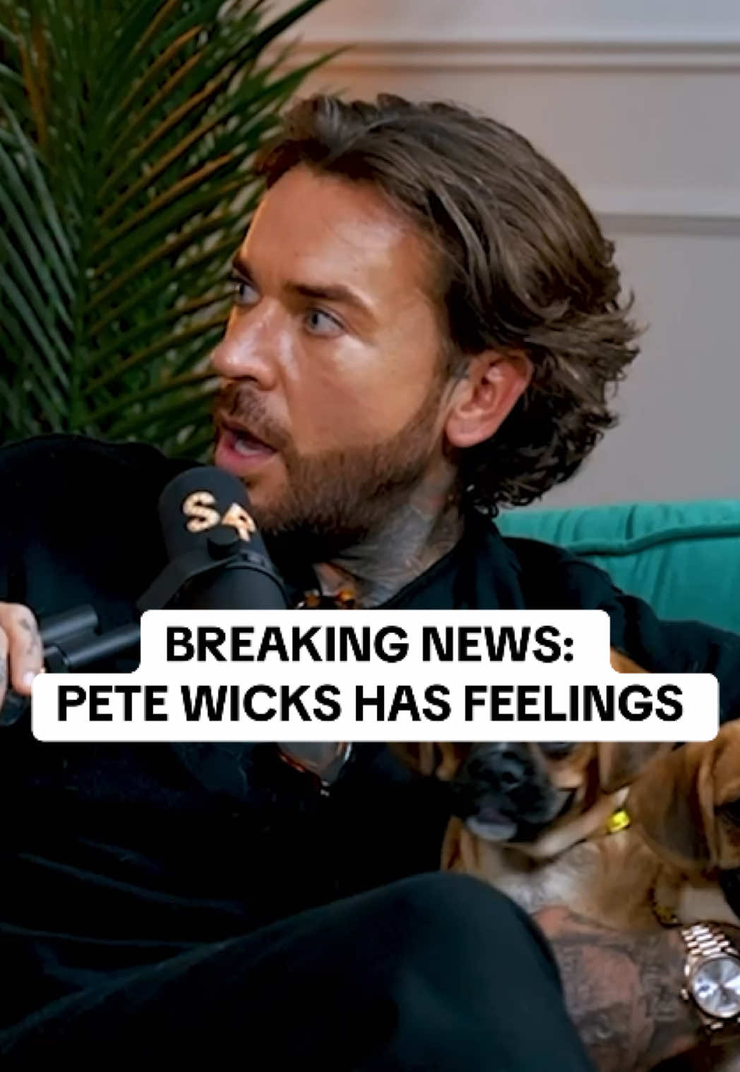We are so proud of you Pete 💛#stayingrelevantpodcast #stayingrelevant #samthompson #petewicks #dogs #dogstrust #dogsoftiktok 