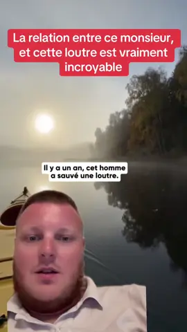La relation entre ce monsieur, et cette loutre est vraiment incroyable. #bellehistoire #sauvetage #sauvetageanimaux #entraide #loutre #devinelapersonne 
