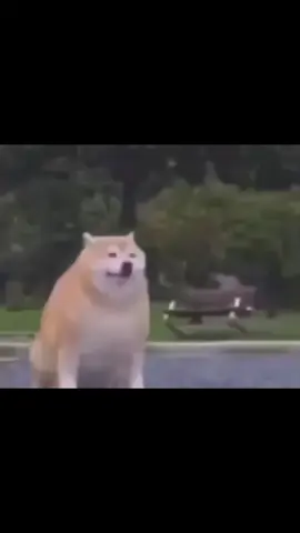 Disappearing meme template 😶‍🌫️ #memes #fyp #dissapear 