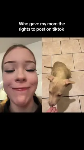 #duet with @Savannah someone either blow her account up or get it banned LMFAOOO jkjk mom don’t get mad at me I love your videos 😔