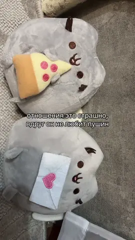 это еще не всё хазадс #переписка #fyp #пушин#pusheencat 