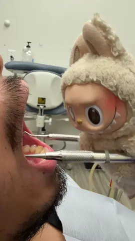 Dr. Labubu hard at work. No Labubus were harmed in the making of this video. #labubu #dental 