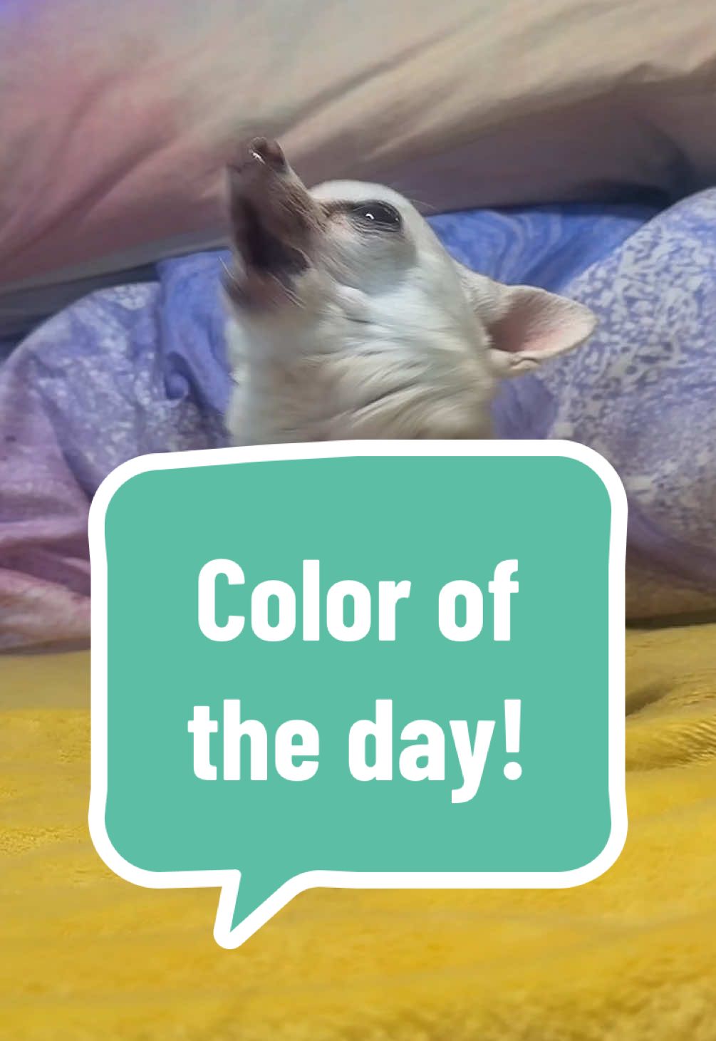 What’s the color gonna be???