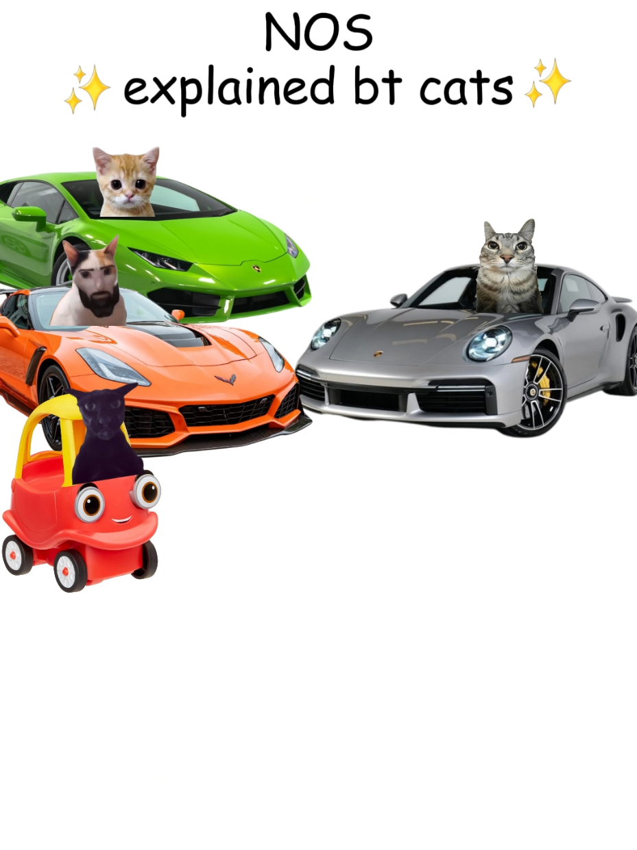 NOS explained by cats #carguys #cars #mechanic #cats 