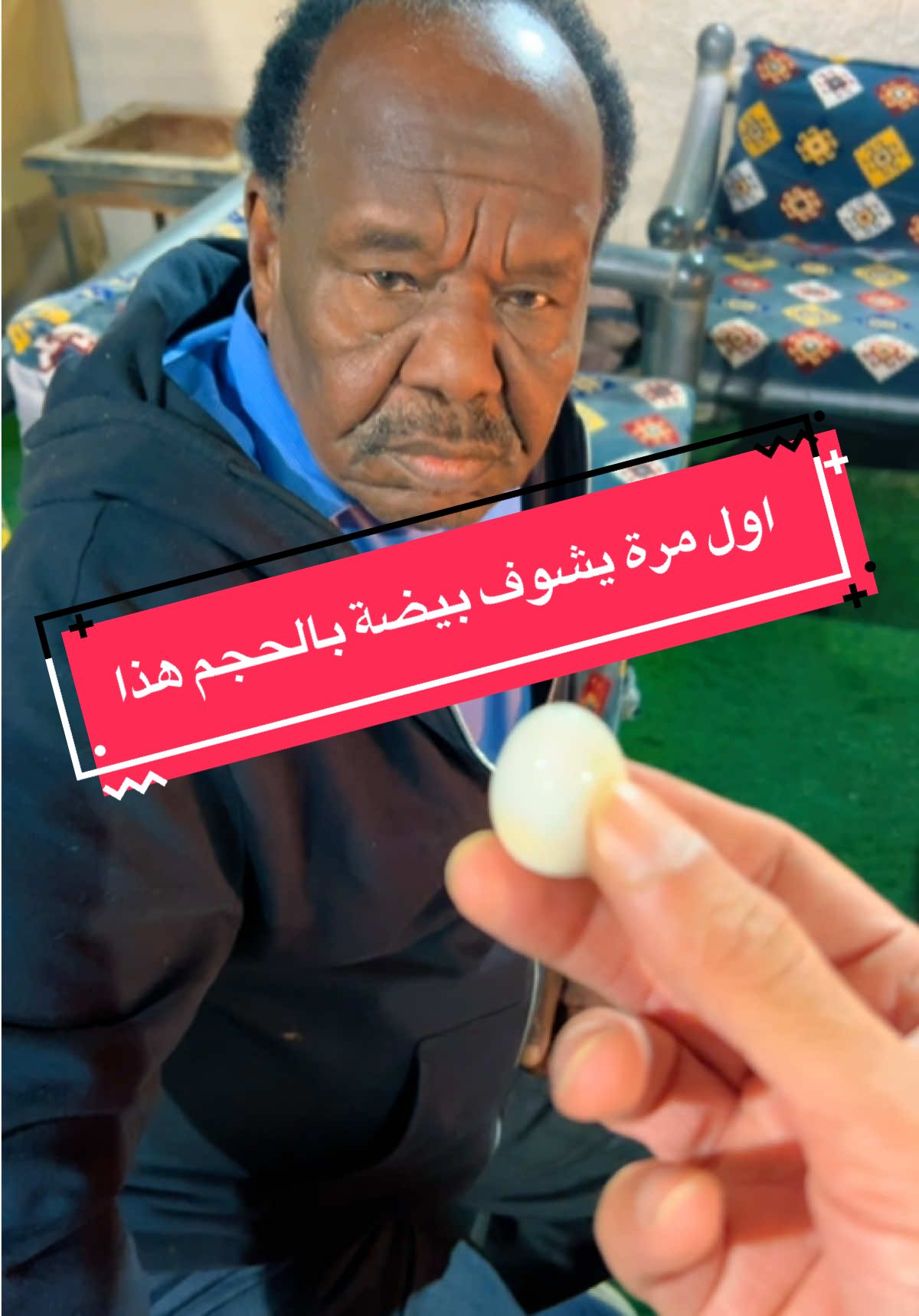 من جرب بيض السمان قبل !!  #بيض #سمان #الزول #العرين #عنوز 