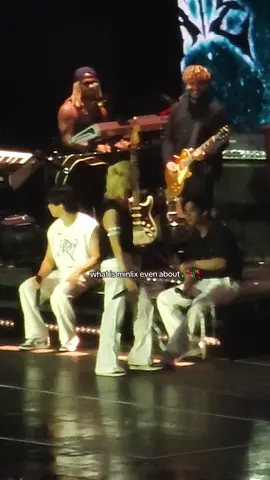 Yes this was filmed with potato  #minlix #leeknow #felix #straykids #straykidsconcert #straykidsparis #skz 