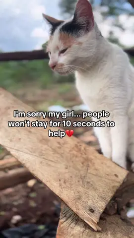 I'm sorry my girl... people won't stay for 10 seconds to help#amsterdam #saveonemission 