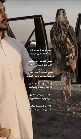صقارك يلوح لك مالازم يوضح لـك. #كسبلور #راشد_الجزوى #explore #keşfet 