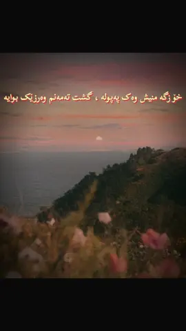 Karim kaban 🤍 خۆزگە منیش وەک پەپولە ، گشت تەمەنم وەرزێک بوایە دور لە خەم و تاڵی ژیان ، تەنها گوڵم بناسیایە ڕێگام سەودای تەنیاییە و ، کەسێک نایەت بۆ سەردانم ئیتر چیببکەم لەم تەمەنە ، کە لەهەمووی پەشیمانم #karimkaban #kurdishsong #kurdistan #fyp #viral #کەریم_کابان 