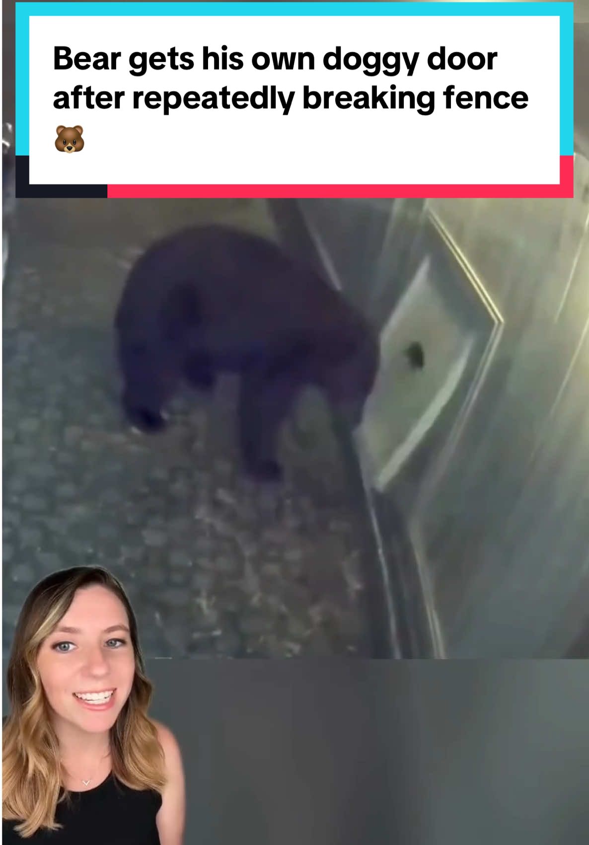 A Vancouver man kept having to repair his fence because a local bear kept breaking it, so he found a clever solution. 🐻  Now Mr. Bear can stroll to the river without causing damage and everyone wins! ❤️ 📸 Curt Scheewe via Storyful #bear #wildlife #blackbear #goodnews #animals #cuteanimals
