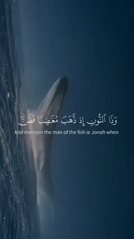 سورة الأنبياء - #اسلام_صبحي