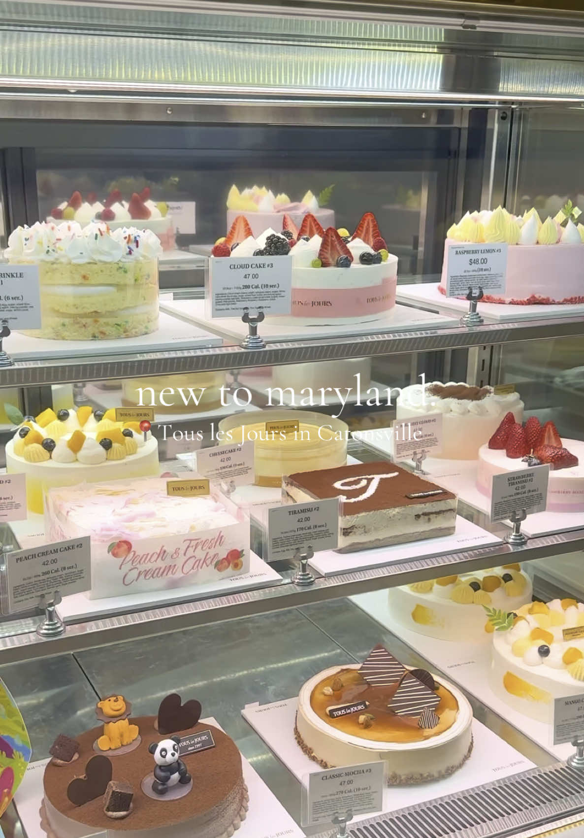 hard to believe we've only been open for 3 months 🫠🫠 #dmv #catonsville #maryland #baltimore #ellicottcity #howardcounty #latte #bakery #cafeaesthetic #aestheticcafe #aestheticbakery #koreanpastry #koreancafe #aestheticbakery #asianbakery #asianpastry 