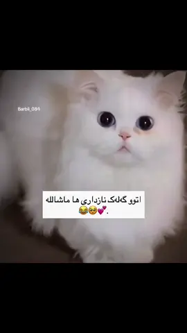 #tiktok #foryou #fypシ #actives? #fyppp #barbii_084 #parati 