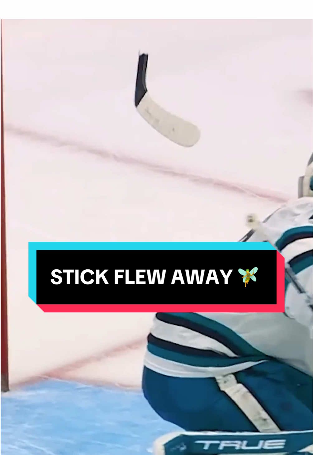 stick said “I’m a fairy” 🧚 #throwback #hockey #NHL #SportsTikTok #sports #bloopers 