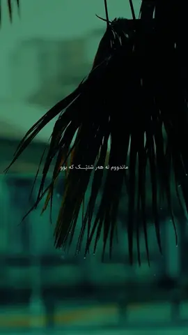 هەندێک ڕۆژ ئاوات دەخوازم بریا هەرگیز ڕێمان نەکەوتایەتە یەکتر چونکە تۆ تێناگەیت چەند خەمگینە ئەوەی بزانیت کەسێکی وەکو تۆ لەم دنیایەدا بوونی هەیە و من ناتوانم ئەو کەسەم هەبێت #hayedeh #هایدە_دەنگێکی_هەمیشە_زیندوو🖤 #explore #fy #foryou 