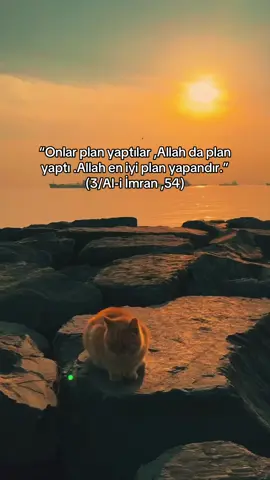 #keşfetteyizzz #fypシ゚viral🖤tiktok #islam #huzur #tevekkulvakti 