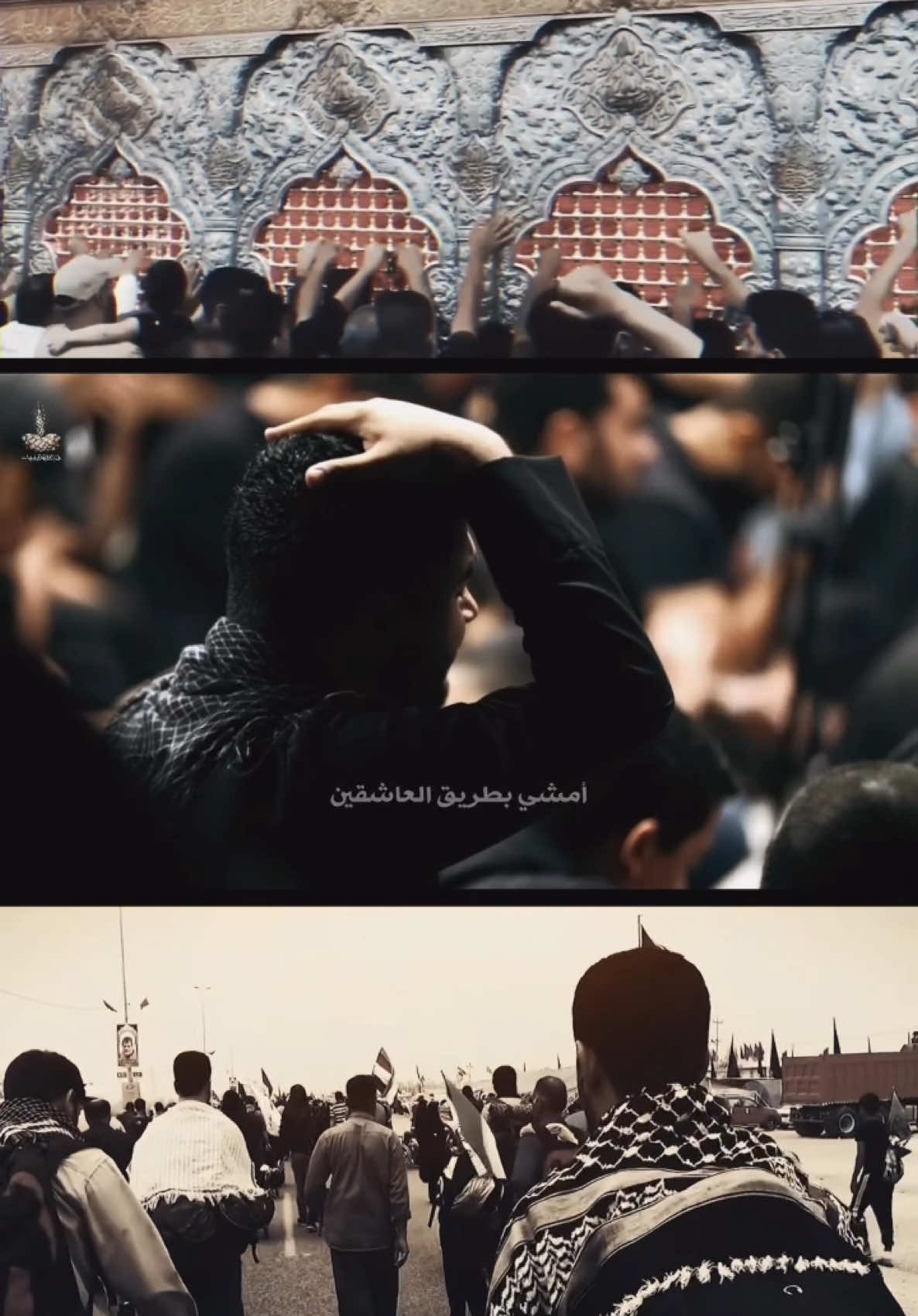 | سجلني زاير يا حبيب |  الملا حسين البيابي  الشيخ حسين البيابي #زيارة_الاربعين #طريق_ياحسين_الى_كربلاء  #مشايه  #مشايه_الأربعين  #قصائد_المشايه #الشيخ_حسين_البيابي #البيابي #طريق_المشايه_للإمام_الحسين  #كربلاء_مدينة_العشق_والعاشقين  #طريق_ياحسين_الى_كربلاء  #نعي_حسيني #خطباء_القطيف #خطباء_البحرين #نواعي_حسينية_دليل_الخطباء 