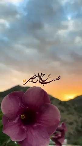 #في هذا اليوم 