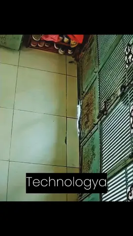 #cat #catsoftiktok #catlover #funny #funnyvideos #foryou #fypage #fypツ #funnycat #funnytiktok #cats 