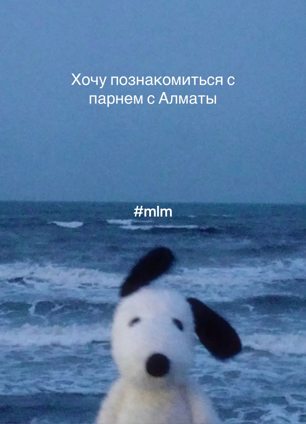 я очень хочу найти себе парня, так как у меня не было никакого опыта с ними😭 не смотрите на хэштеги, это что бы рек был🙏🏻 #mlm #wlw #elbruso #newjeans #almaty #kazakhstan 