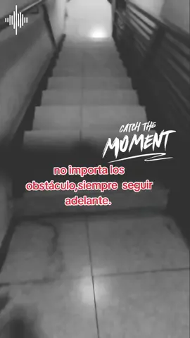 #tiktok 