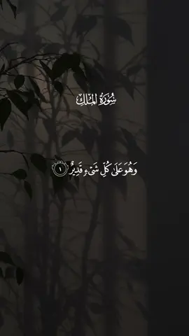 القارئ / ماجد الدعوس - تبارك الذي بيده الملك وهو على كل شي قدير #سورة_الملك #القارئ_ماجد_الدعوس #ماجد_الدعوس #quran #quran #راحه_نفسيه #تلاوة_خاشعة #islam #quran_alkarim #قران 