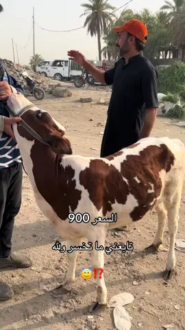 شاركو الفديو 