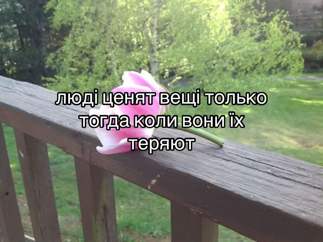 #рек #щитпост #каренпр #fyp 