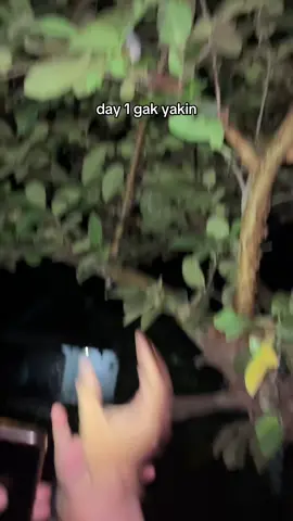 kurang yakin