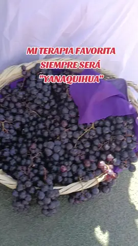 Yanaquihua #viraltiktok 