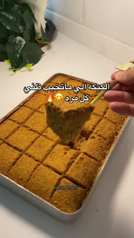 فيها حليب محموس مايحتاج أوصفها👌 نخفق 3بيض+نص كوب سكر+ملعقه فانيلا نوصل لخليط كريمي وفاتح نضيف نص كوب زيت ونخلط ثم المواد الجافه:كوب دقيق+ملعقه ك بكنج بودر+كوب حليب محموس وناخذ ملعقتين على جمب للتزين نخلط ونضيف نص كوب ماء نوزعه بصينيه مدهونه وبالفرن مسبق التشغيل من أسفل حراره 180 من 20إلى 30دقيقه تطلع من الفرن نسقيها شوي حليب مكثف وعلى الوجه نرش حليب محموس #ترند  #الشعب_الصيني_ماله_حل😂😂 #اكسبلورexplore #ASMR #viral #foryoupage #yammy #fypシ゚viral #yummyfood #طبخ #وصفات #fyp #foryou #explore #fypシ #طبخات #you #fy #أكسبلور #اكسبلور_فولو 