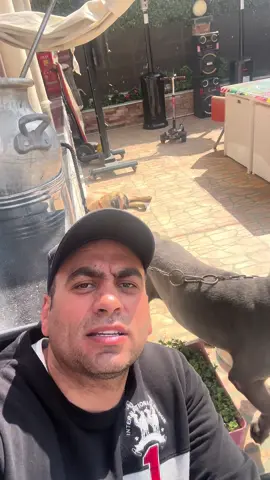 أصدقائي الأوفياء 