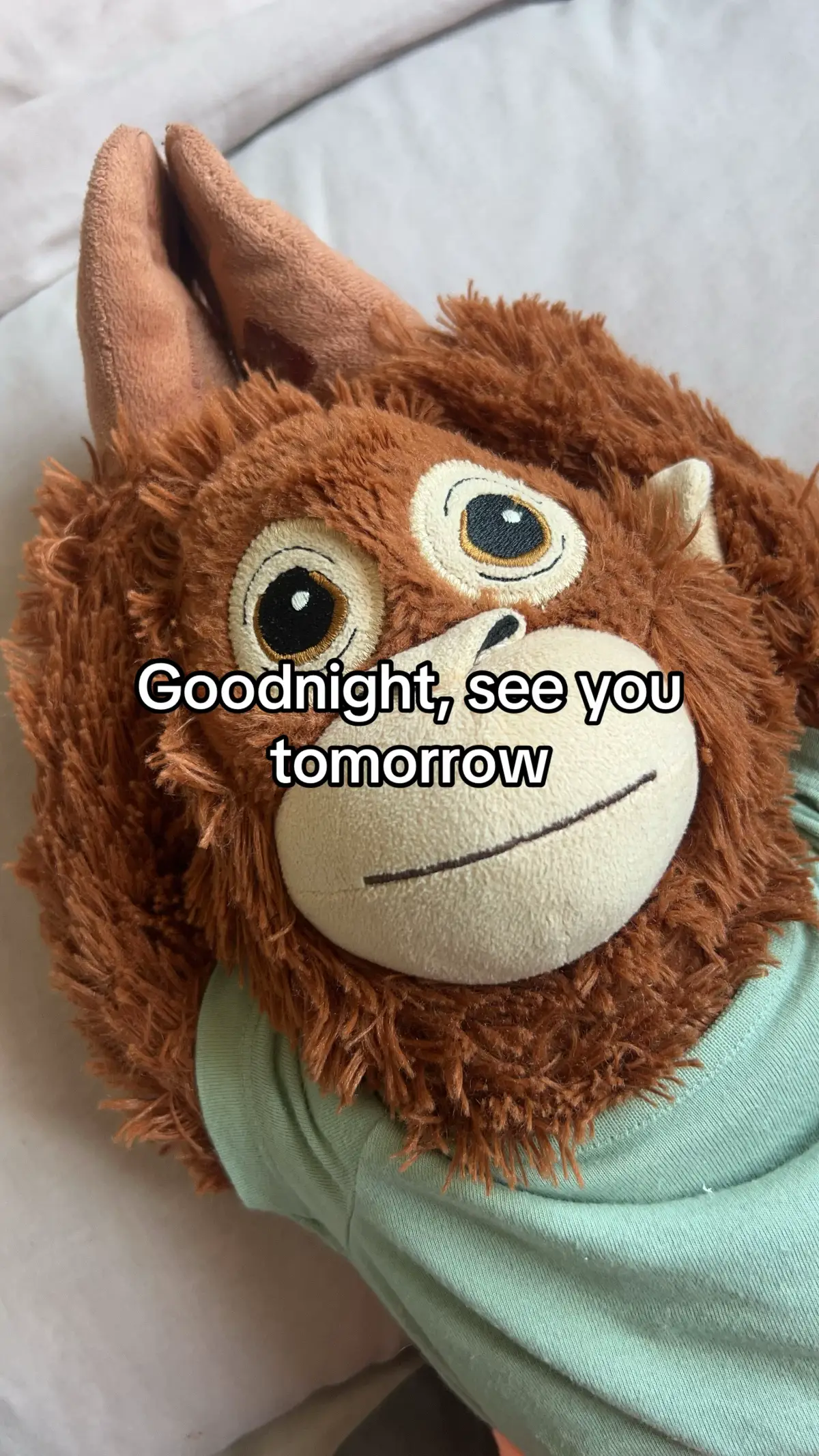 #fyp #foryoupage #ikea #monkey #imissyou #missyou #iloveyou #goodnight #night #sleep 