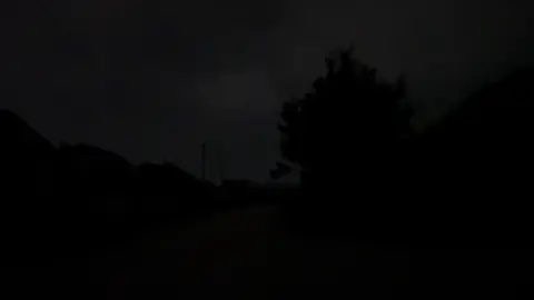 #лсп #lspolegi 