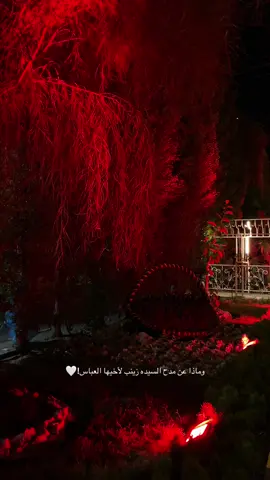 تكله بمدحك فلا أكتفي🥹❤️ #تصويري📸  #باسم_الكربلائي  #كربلاء  #محرم_الحسين  #قصايد_باسم_الكربلائي🤍 