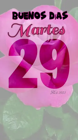 Buenos Días! 🌞 Feliz martes ☀️☕️🤗 #buenosdias #buenosdiasmundo #Días #bendecidodia #dios #lindodia #buenosdiasporlamañana        