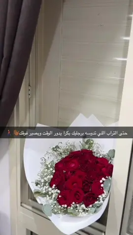 #اكسبلورexplore #رهط_تل_اسبع_اشقيب_عرعره_حوره_بير_هداج #تصويري_احترافي_الاجواء👌🏻🕊😴 #اكككككككككككسسسسسبلللور #العبارات_عليكم🙂🖤🖇 
