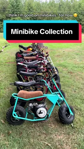 Minibikes are addicting, plain and simple 😂 what started as a hobby with one Coleman minibike has turned into quite the collection! #minibike #minibikes #minibikelife #minibikesyndicate #minibikesoftiktok 