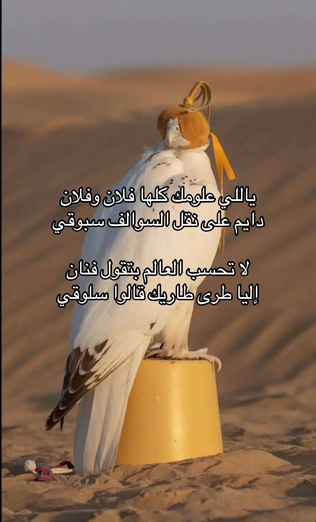 #fyp #اكسبلوررر #explore #fyyyyyyyyyyyyyyyy #اكسبلورexplore #الحربي 