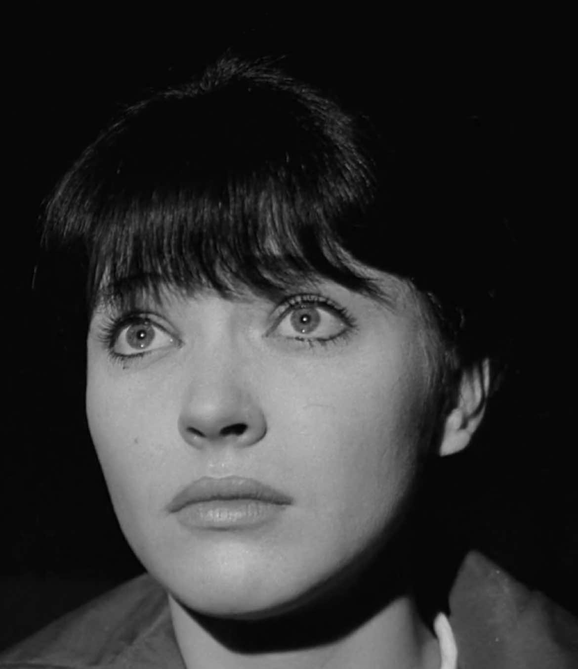 🪽 #annakarina #60s 