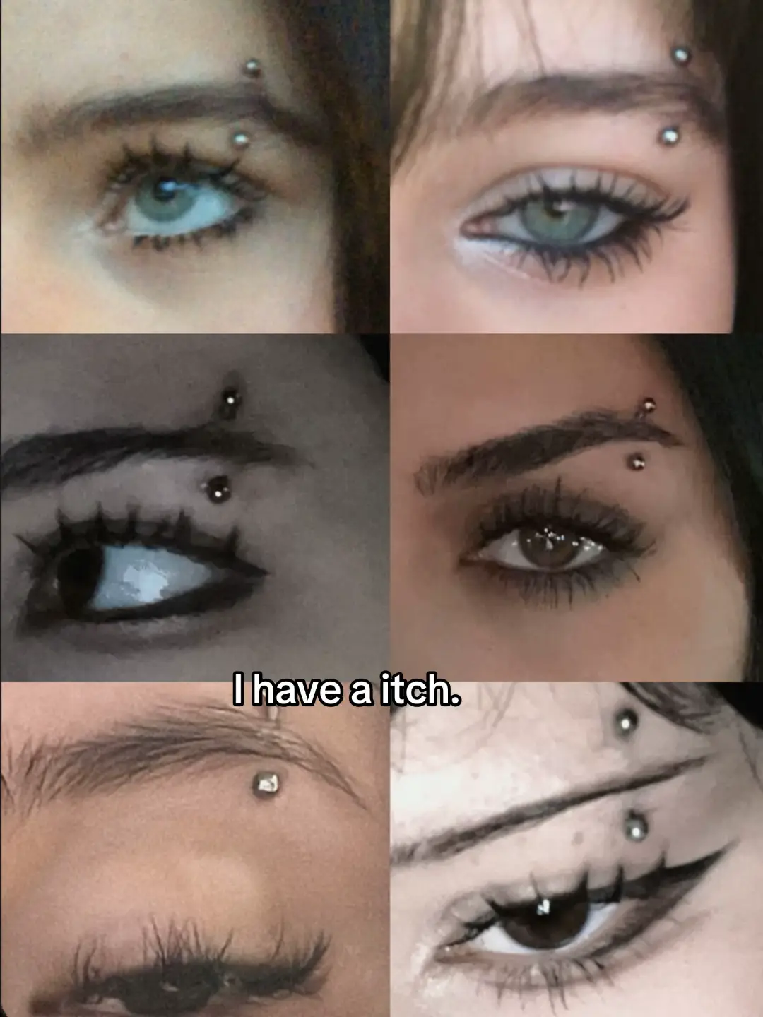 I WANT ONE#eyebrows #eyebrowpiercing 