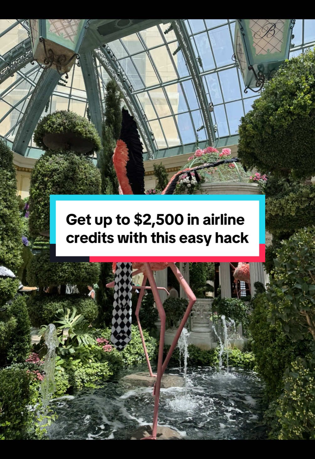 If you can’t beat ‘em, join em #familytravel #traveltips #travelcreator #budgettravel #fy #fyp #travelhacks 