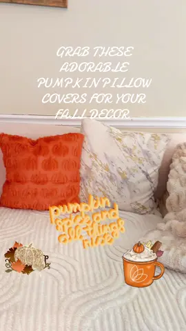 #fall #falldealsforyou #falldecor #falldecorating #pumpkinseason #pumpkinpillow 